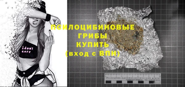 2c-b Белокуриха