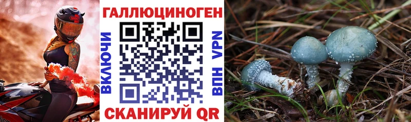 где можно купить наркотик  Нязепетровск  Галлюциногенные грибы Psilocybe 